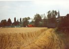International Harvester 1660 25